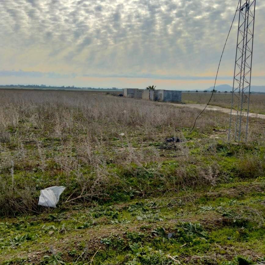 Lire la suite à propos de l’article Manouba : Récupération d’un terrain domanial agricole de 30 he.