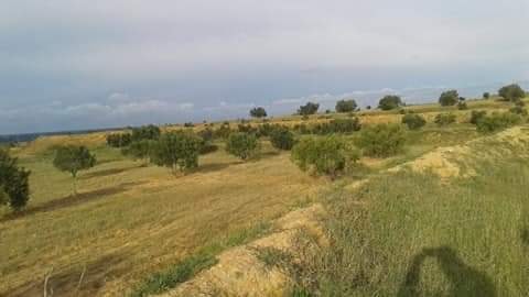 You are currently viewing Domaines de l’Etat : récupération de 56,5 hectares à Soliman