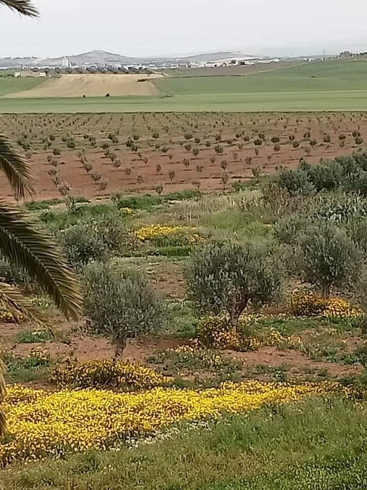 You are currently viewing Domaines de l’Etat : récupération d’une ferme domaniale agricole d’une superficie de 470 hectares à Béja.