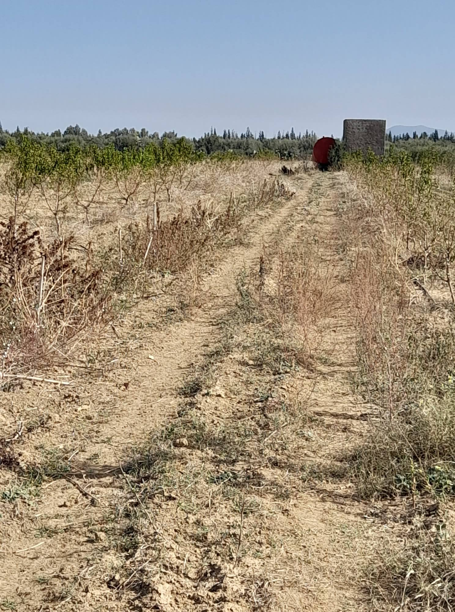 You are currently viewing Domaines de l’Etat : récupération de 71 hectares à Ben Arous.